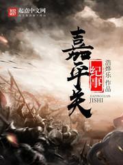 嘉平关纪事 嘉平关纪事
