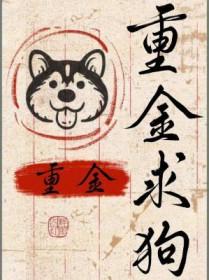 重金求狗 重金求狗