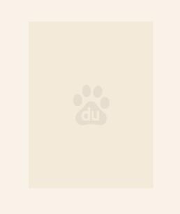 绝世炼丹师 绝世炼丹师