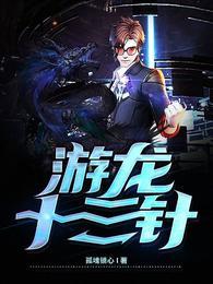 游龙十三针 游龙十三针