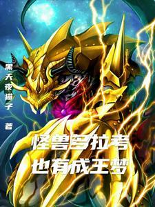 奥特老大杀手 奥特老大杀手