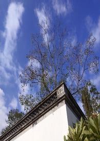 一念之间(骨科H) 一念之间(骨科H)